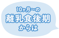 10ヶ月〜の離乳食後期からは